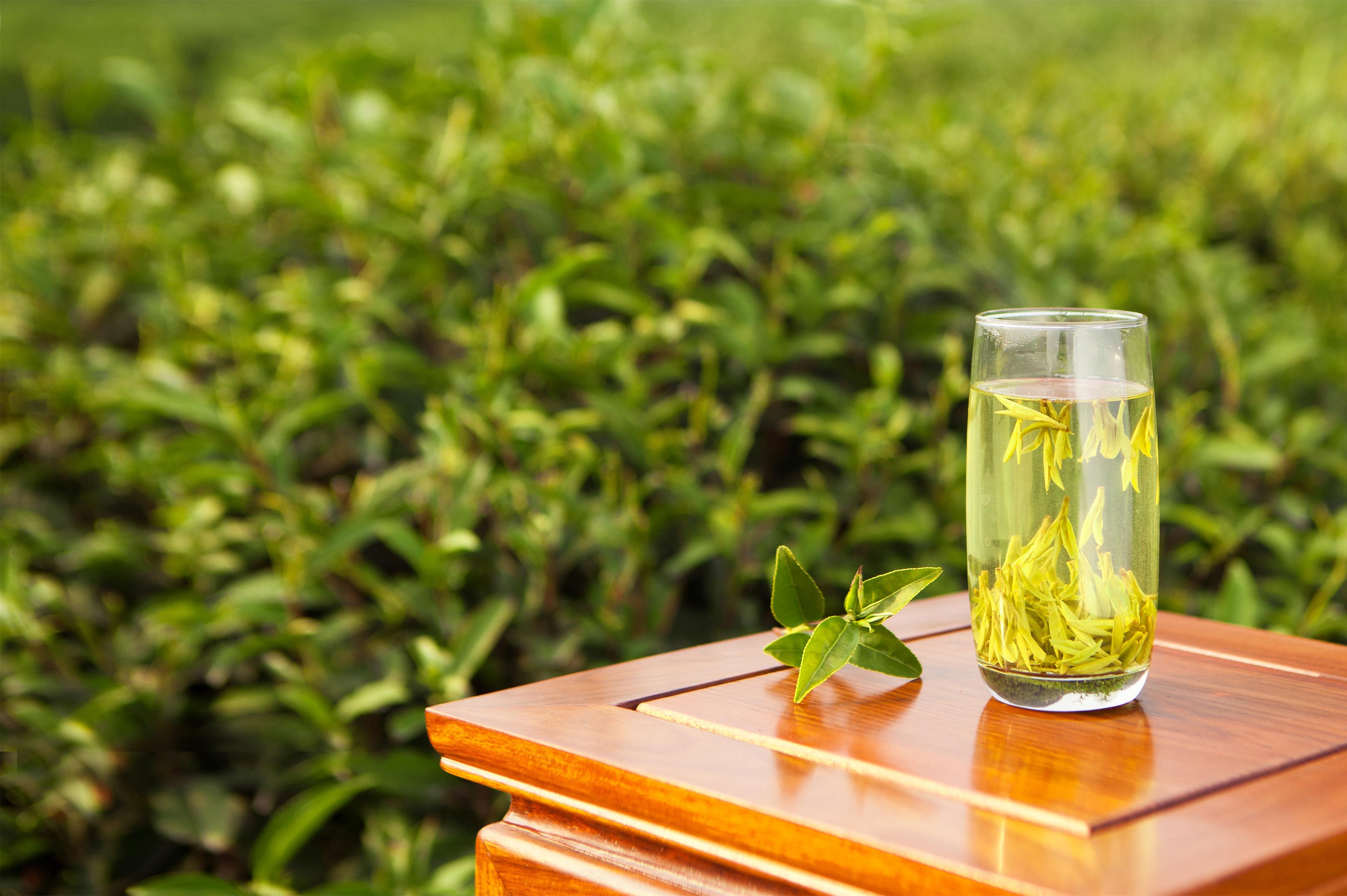 简述绿茶茶艺流程