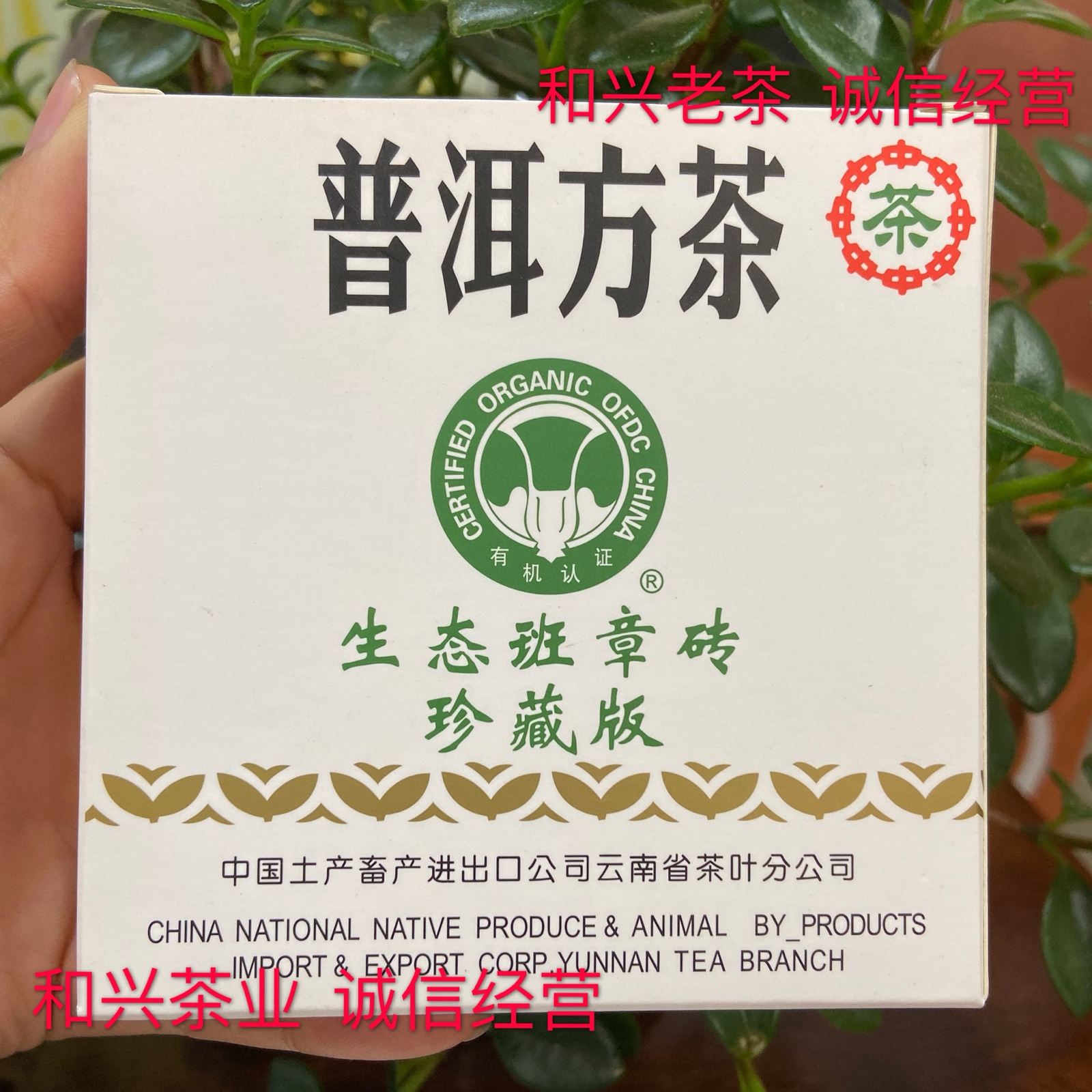 普洱茶生茶 08年云南仓大白菜生态班章砖100克普洱小方茶砖茶
