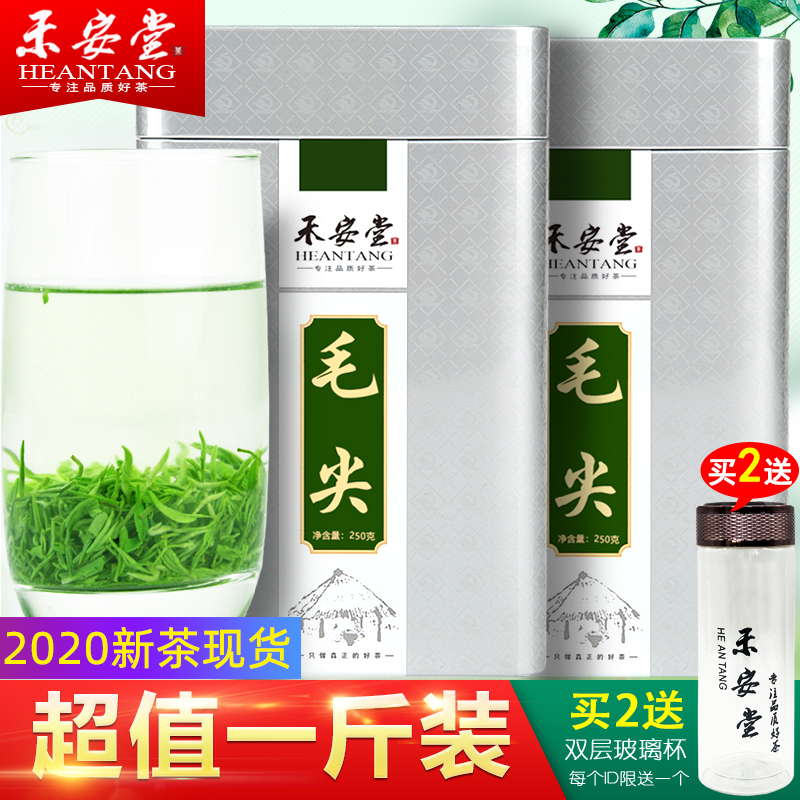 【买一送一】禾安堂毛尖绿茶2020年新茶叶信阳原产毛尖共500g
